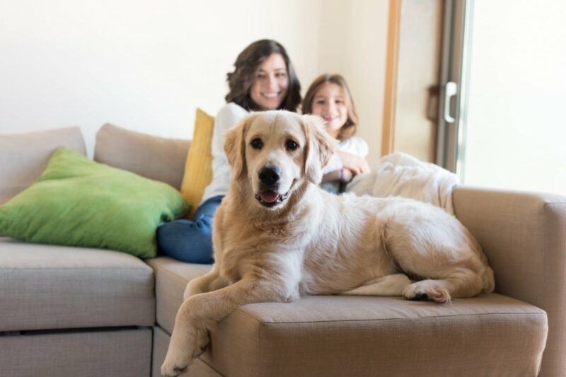 KC Area Residential Cleaning family living room